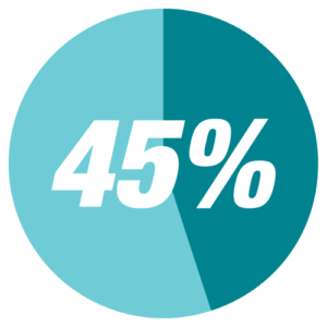 pie chart showing 45%
