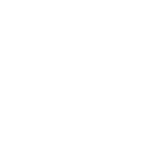 alert icon
