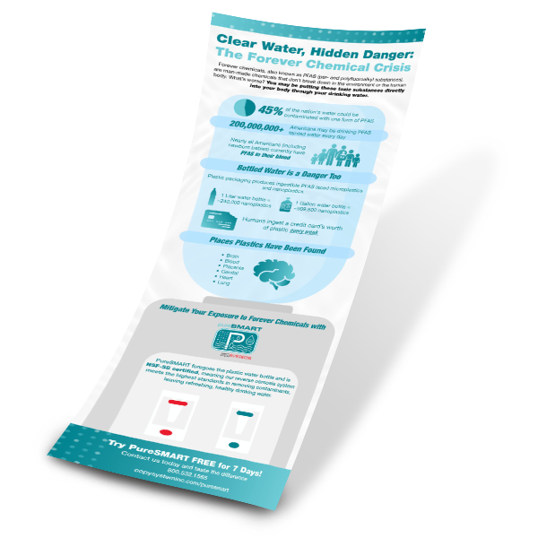 Forever Chemicals Infographic Mockup Image
