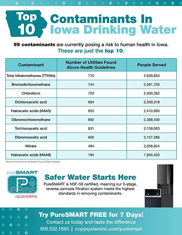 Environmental Impact Infographic Mockup